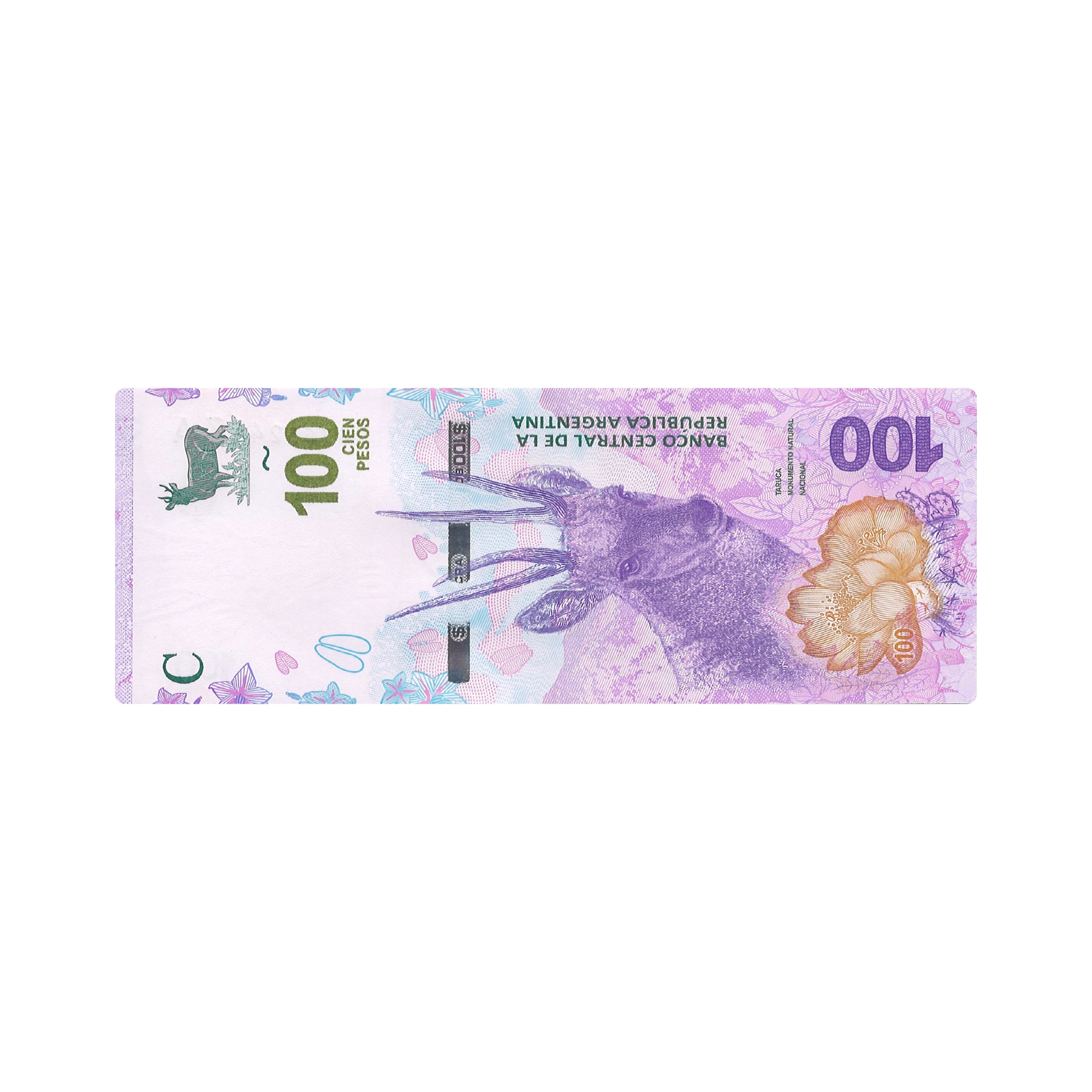 Mousepad 100 pesos 70x25 Classic | PERSONALIZADO