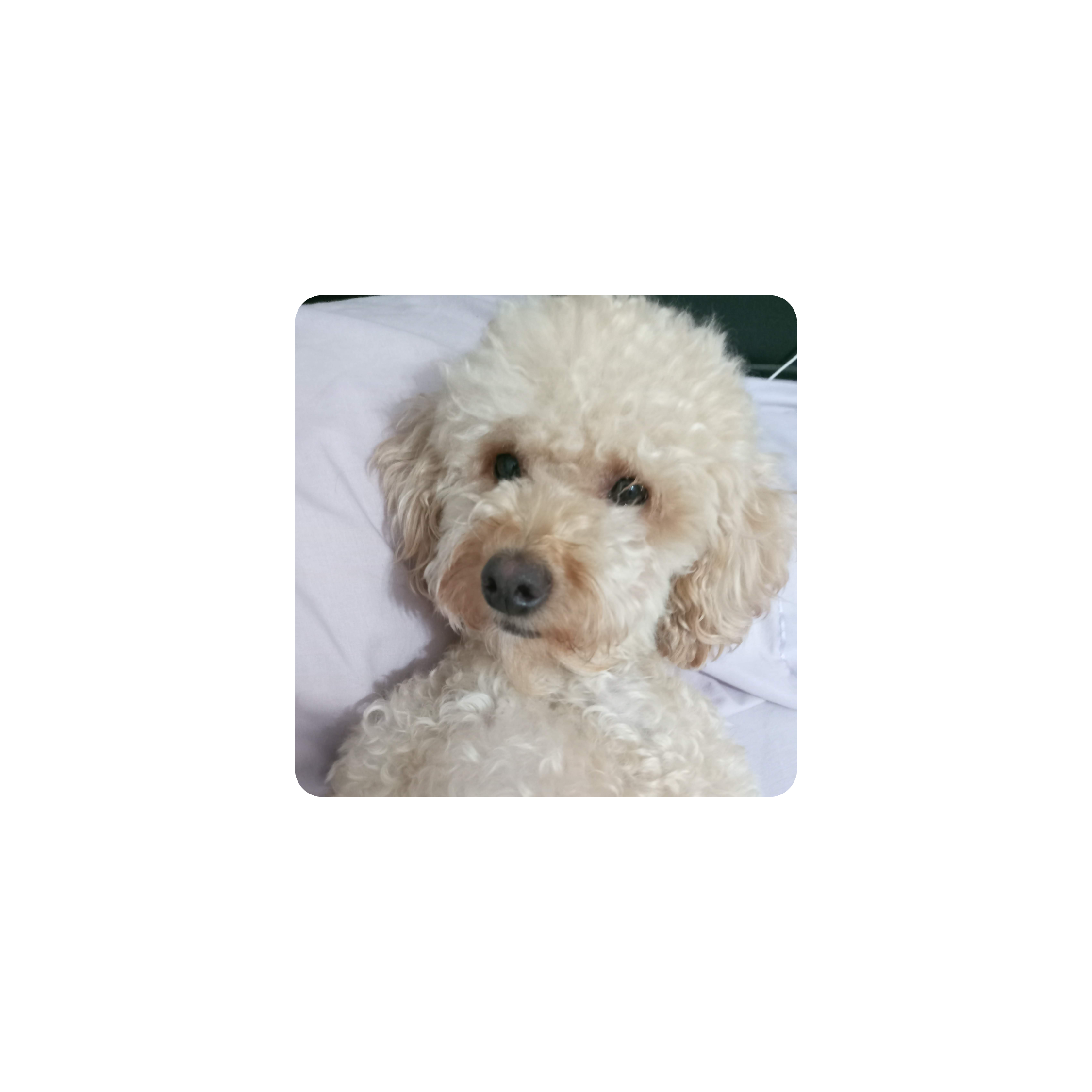 Mousepad Catona 30x30 Classic | PERSONALIZADO