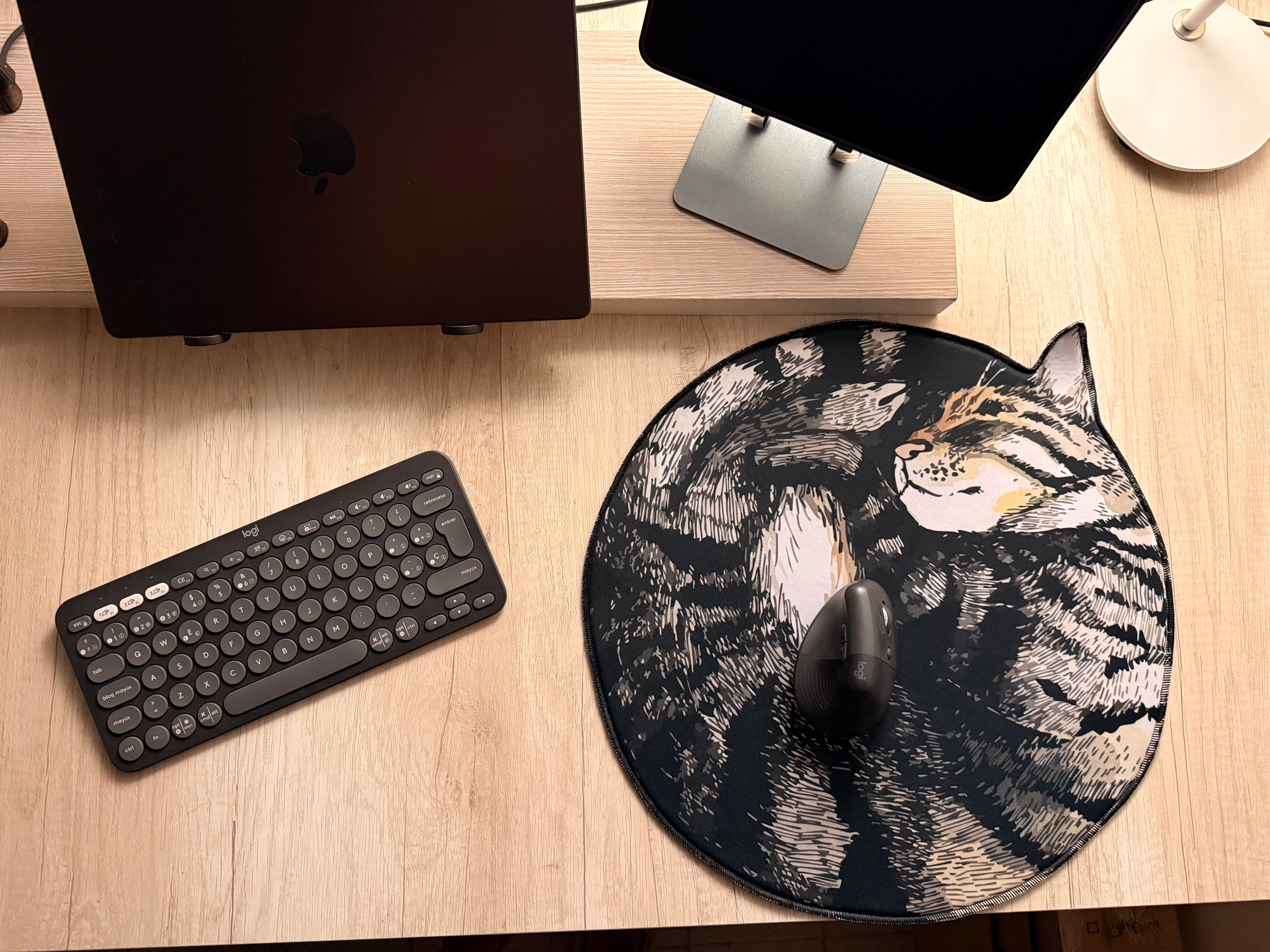 Ball Cat 43x43 | MgM FORMS