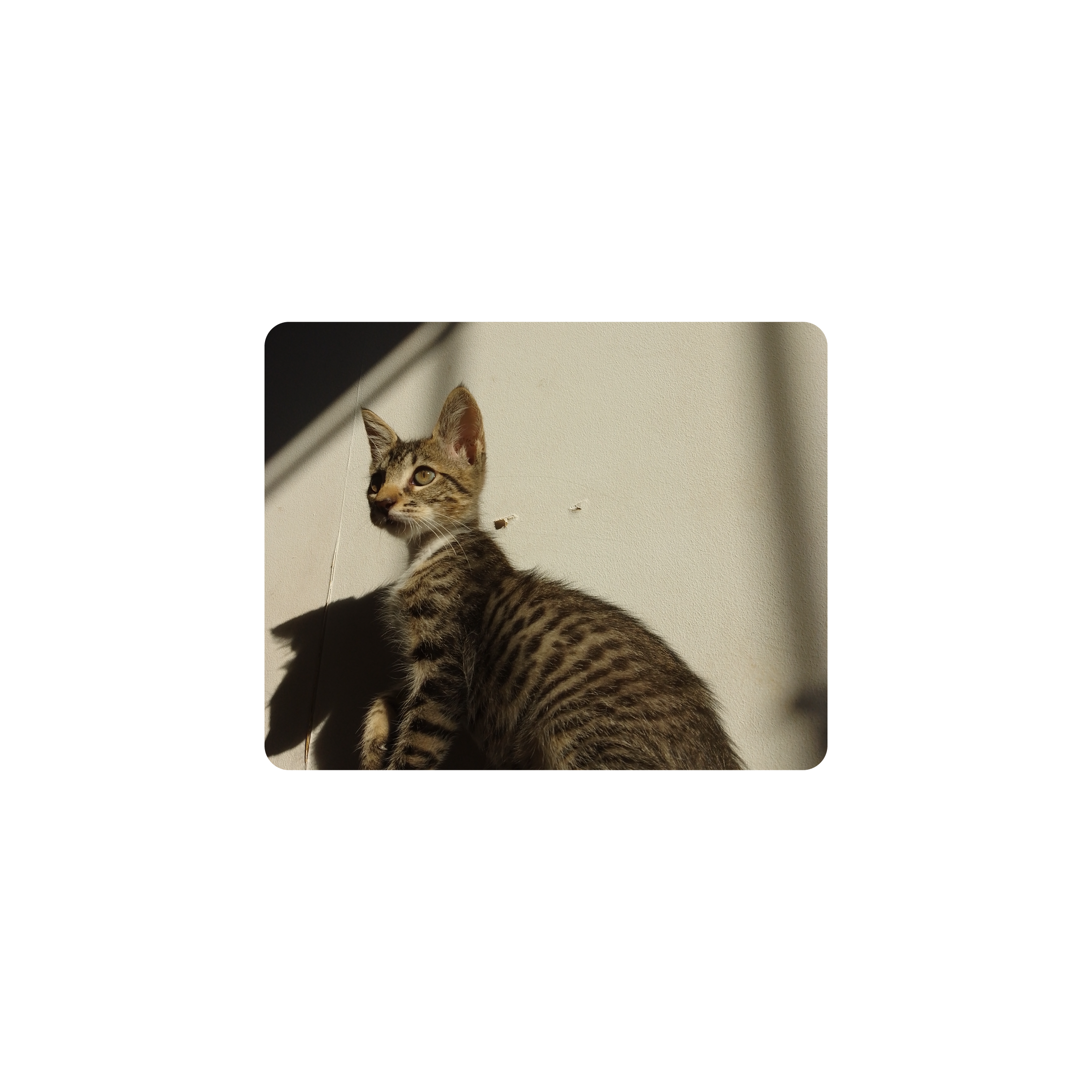 Mousepad Mendy 50x40 PRO | PERSONALIZADO
