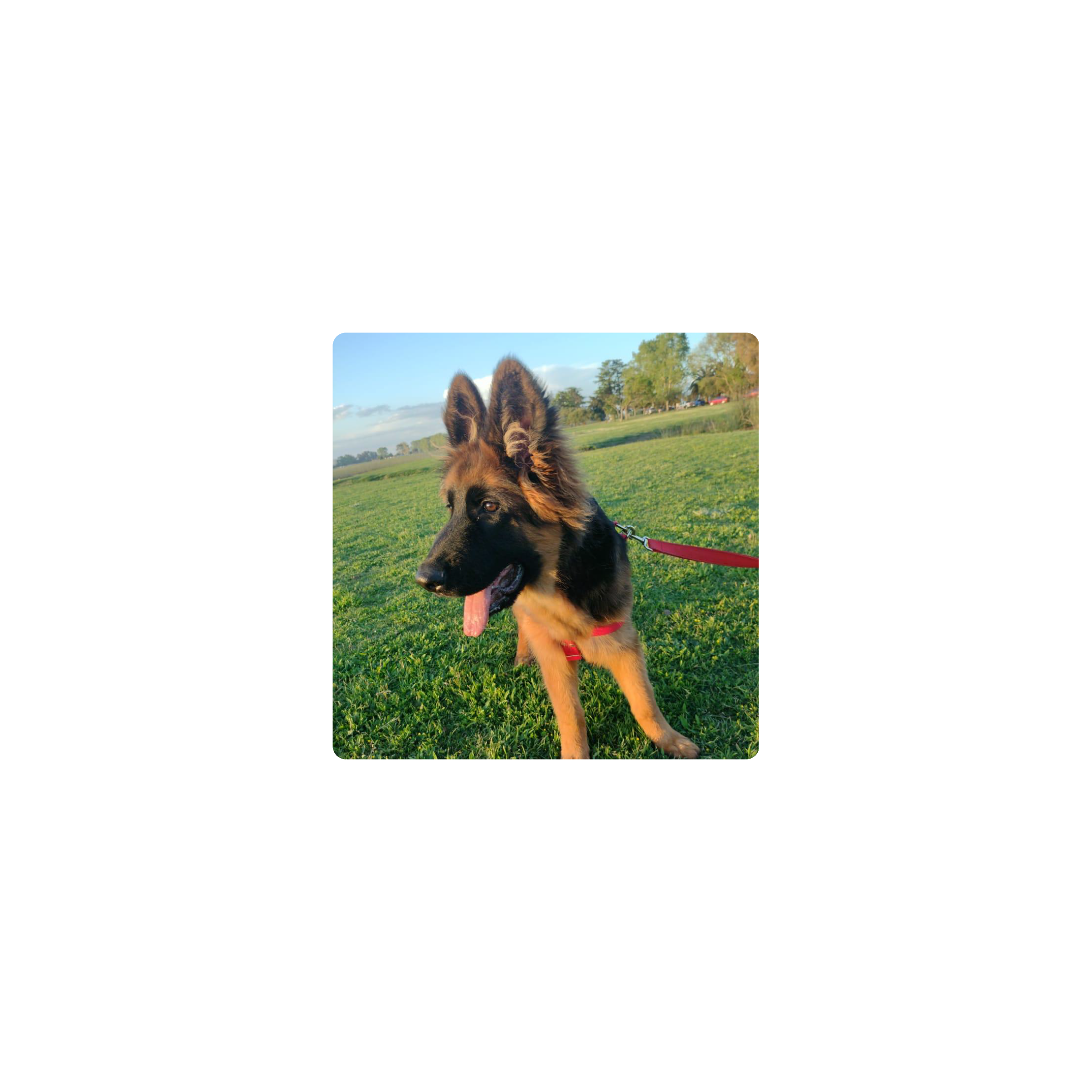 Mousepad kyran black 25x25 Classic | PERSONALIZADO