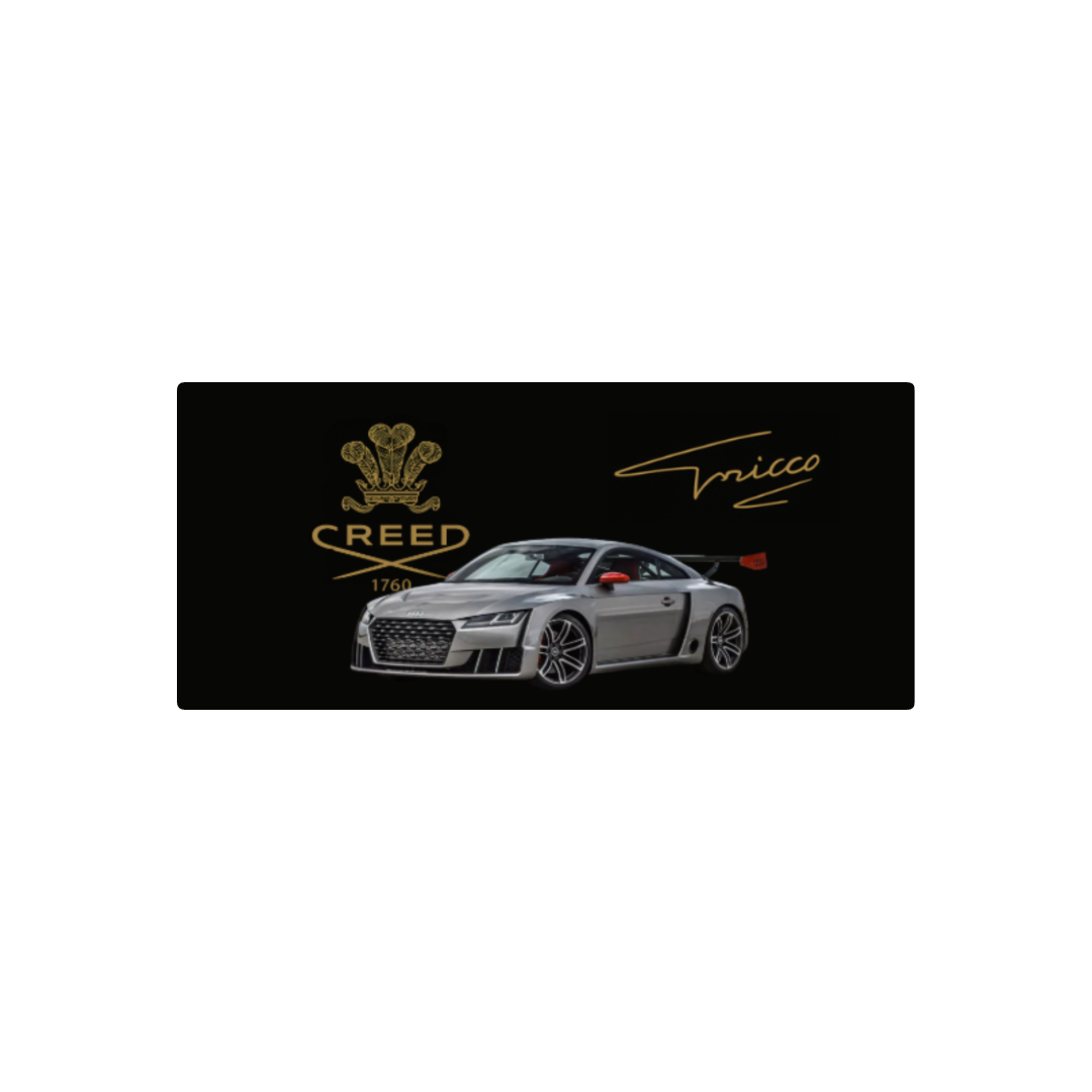 personalizado audi tt