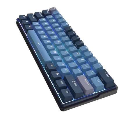 Teclado Gaming Royal Kludge RK61 RGB 60% Wireless Tri-Mode| MgM IMP