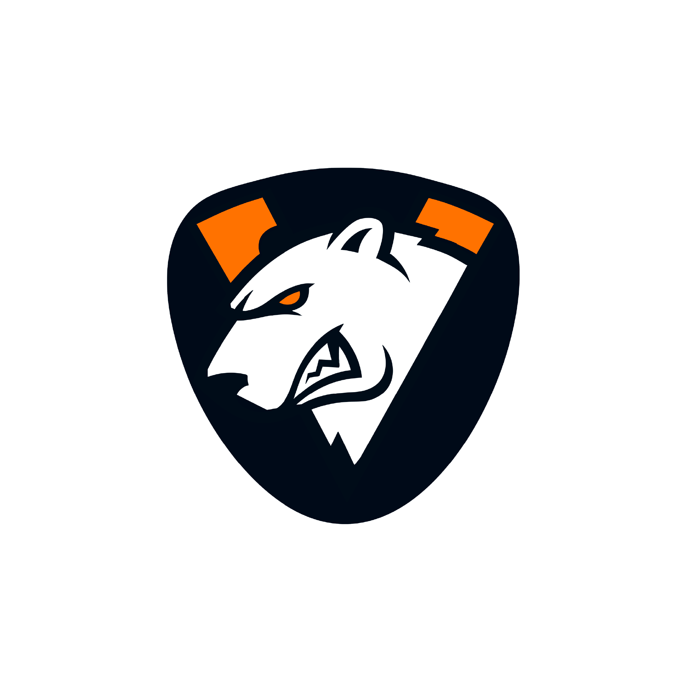 Virtus.Pro Cs 25x25 | MgM FORMS