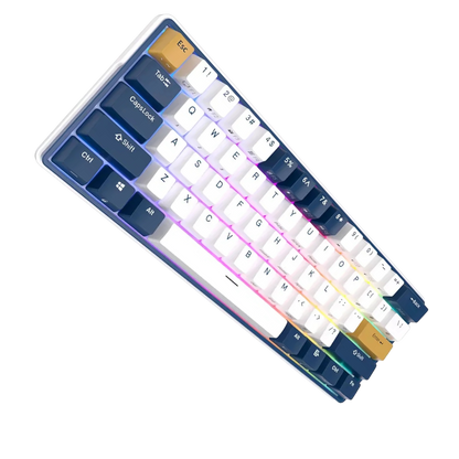 Teclado Gaming Royal Kludge RK61 RGB 60%| MgM IMP