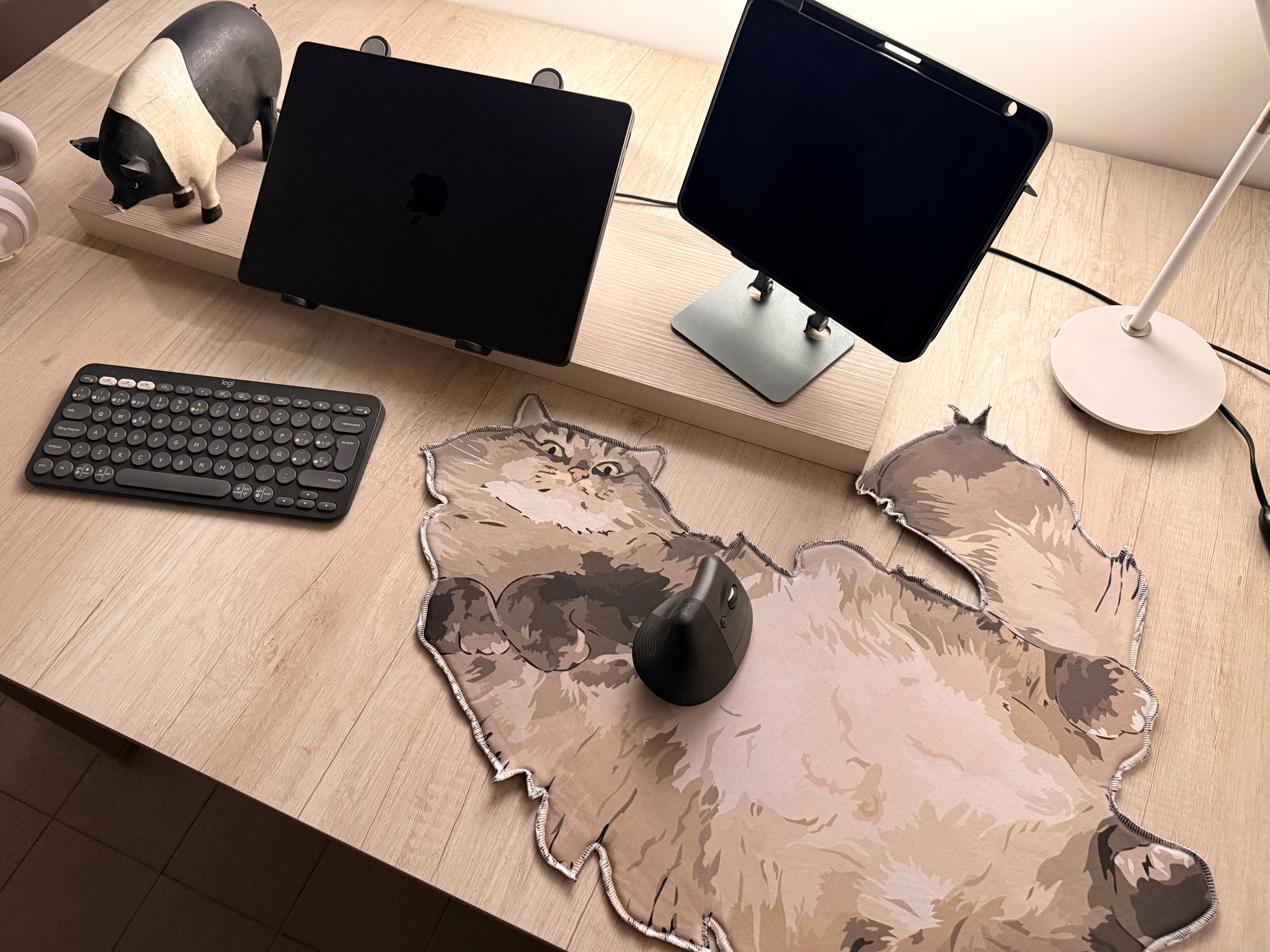 Fat Cat 57x56 | MgM FORMS