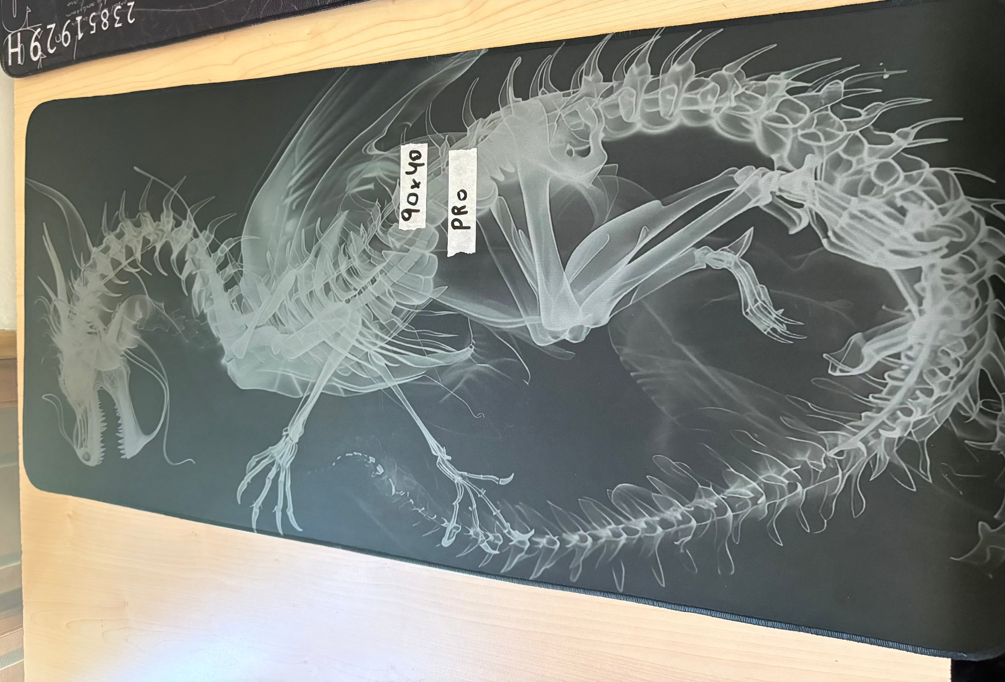 X-Ray Dragon 90x40 | Serie Pro- OUTLET