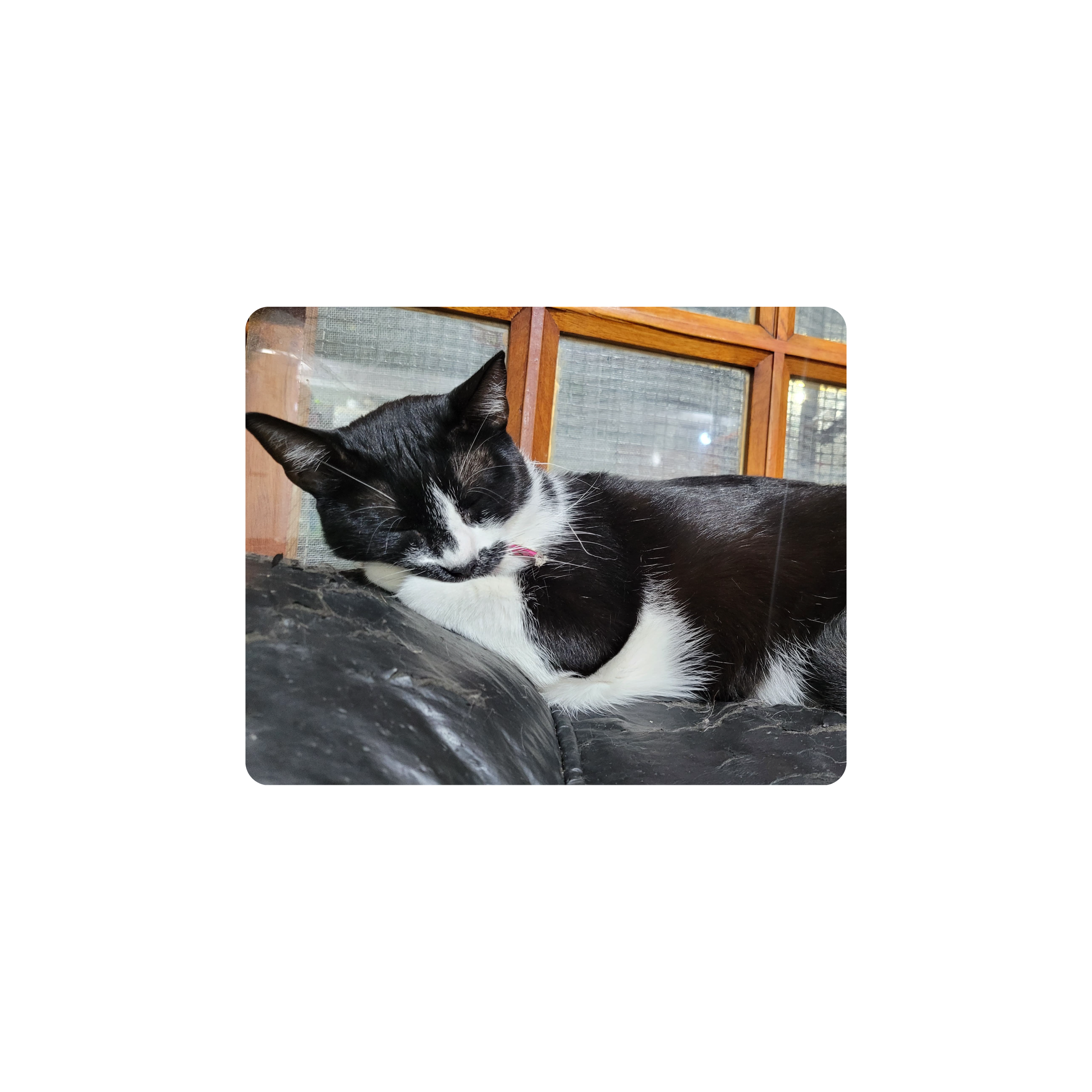 Mousepad La gordita 50x40 PRO | PERSONALIZADO