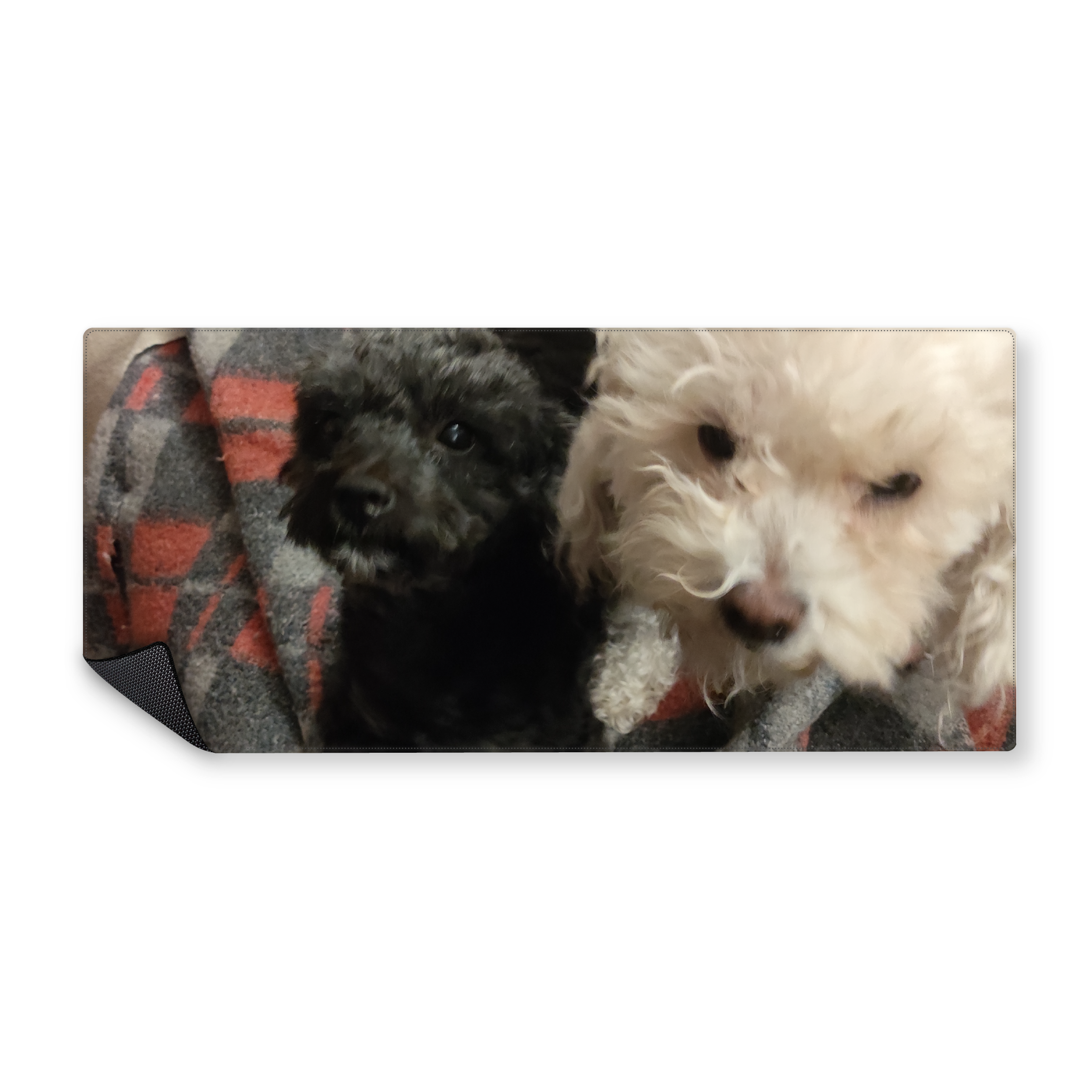 Mousepad Leia y Cleo 90x40 PRO | PERSONALIZADO
