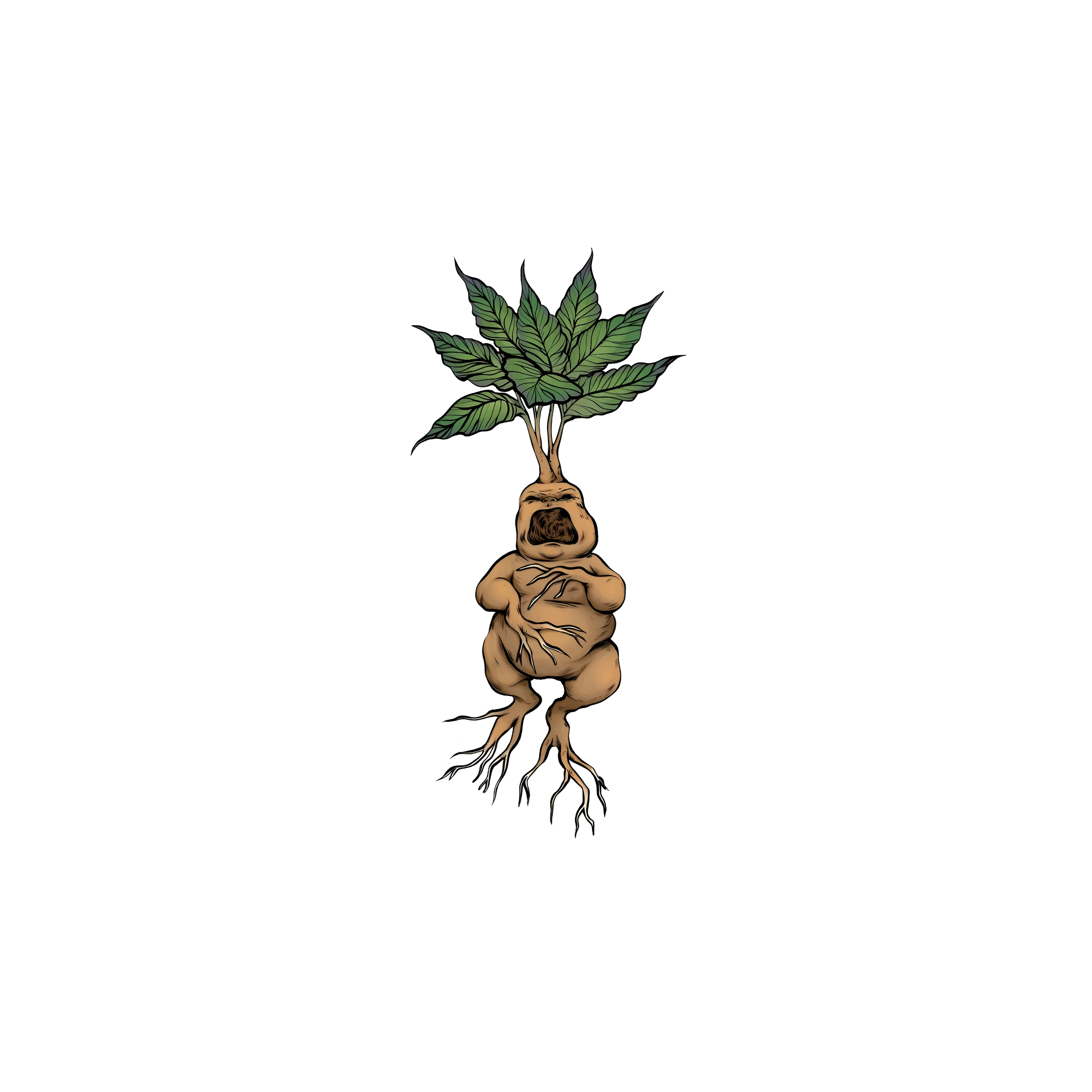 Mousepad Mandragora 25x37 Classic | PERSONALIZADO