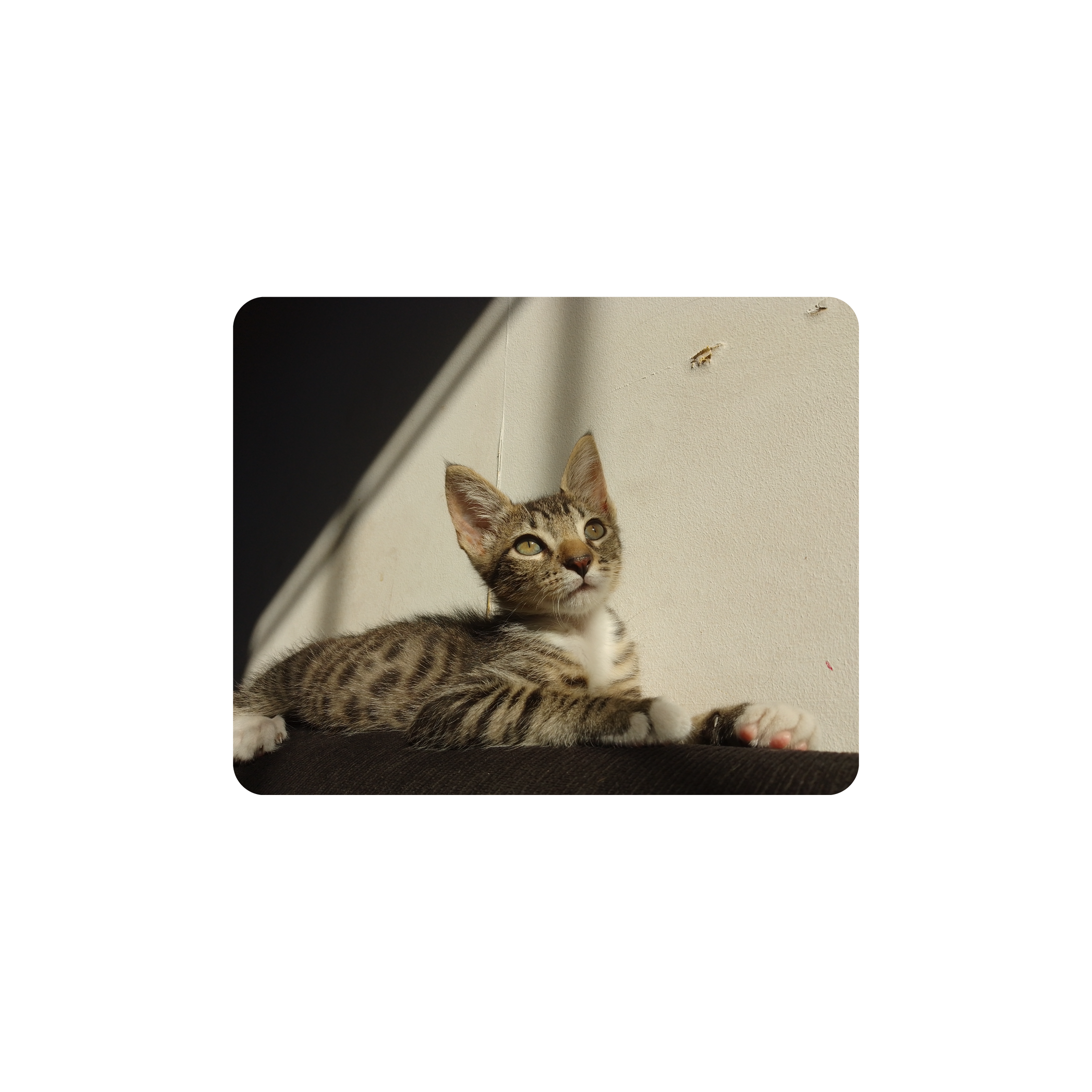 Mousepad Mendy 50x40 PRO | PERSONALIZADO