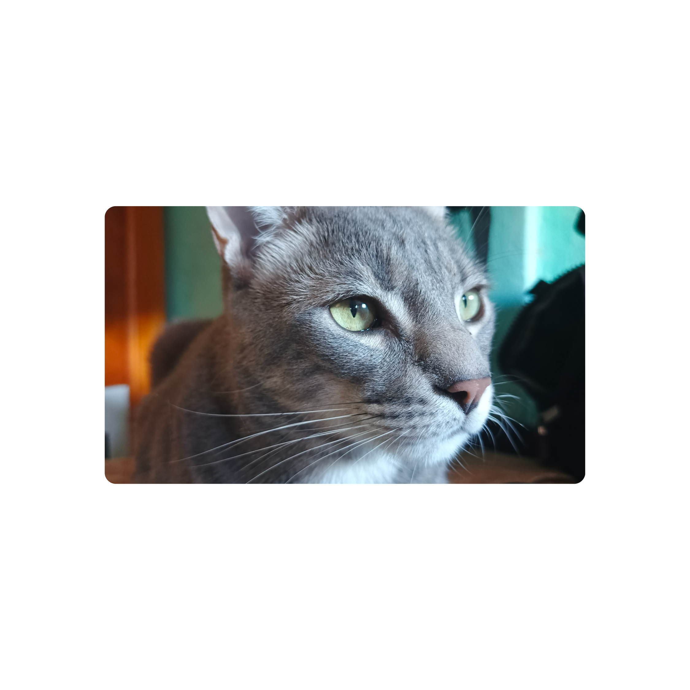 Mousepad Romeo Gato perlado 61x35 Classic | PERSONALIZADO