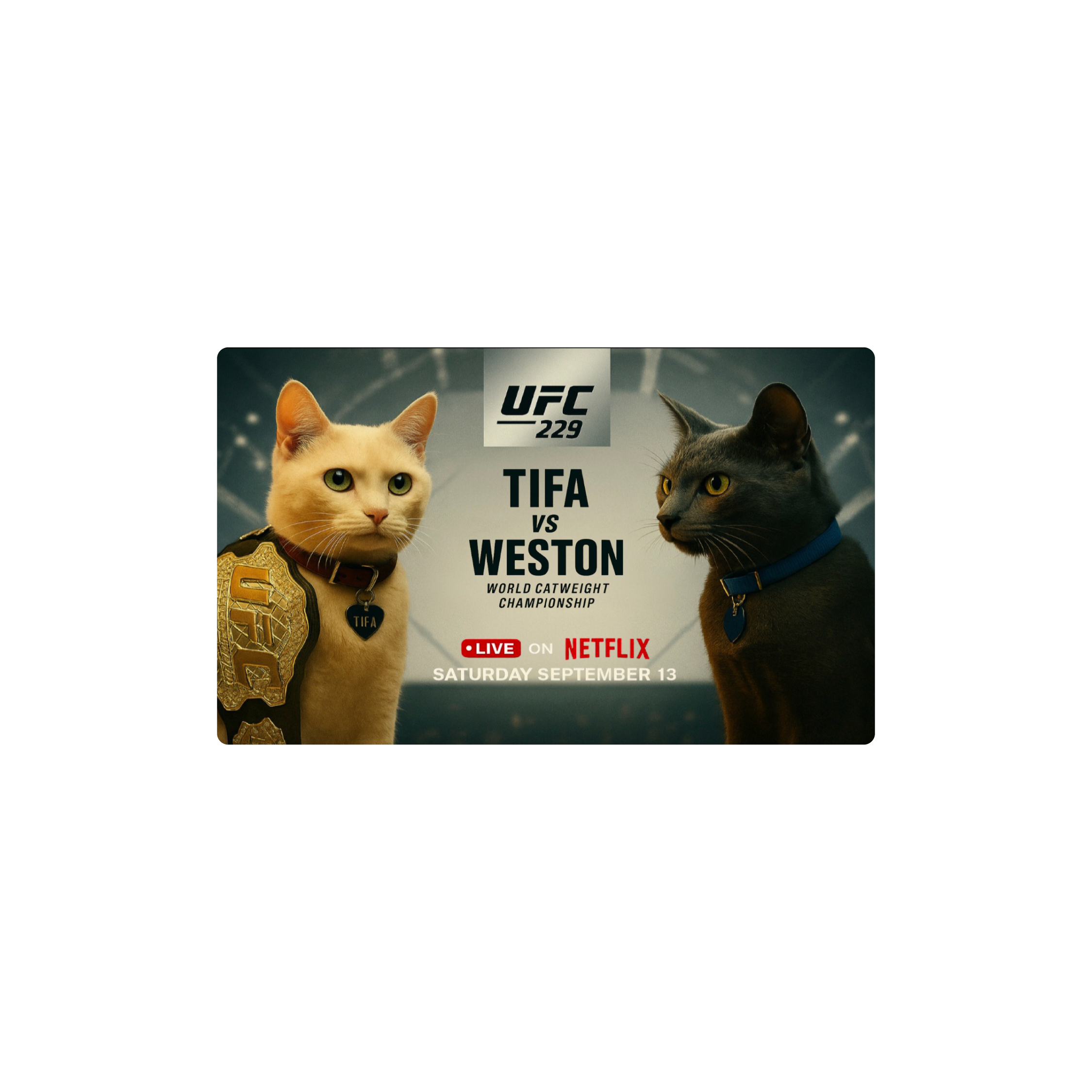 Mousepad UFC Cats 50x30 PRO | PERSONALIZADO