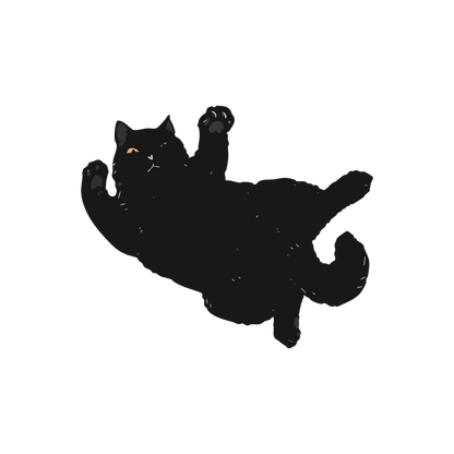 Black Cat 43x43 | MgM FORMS