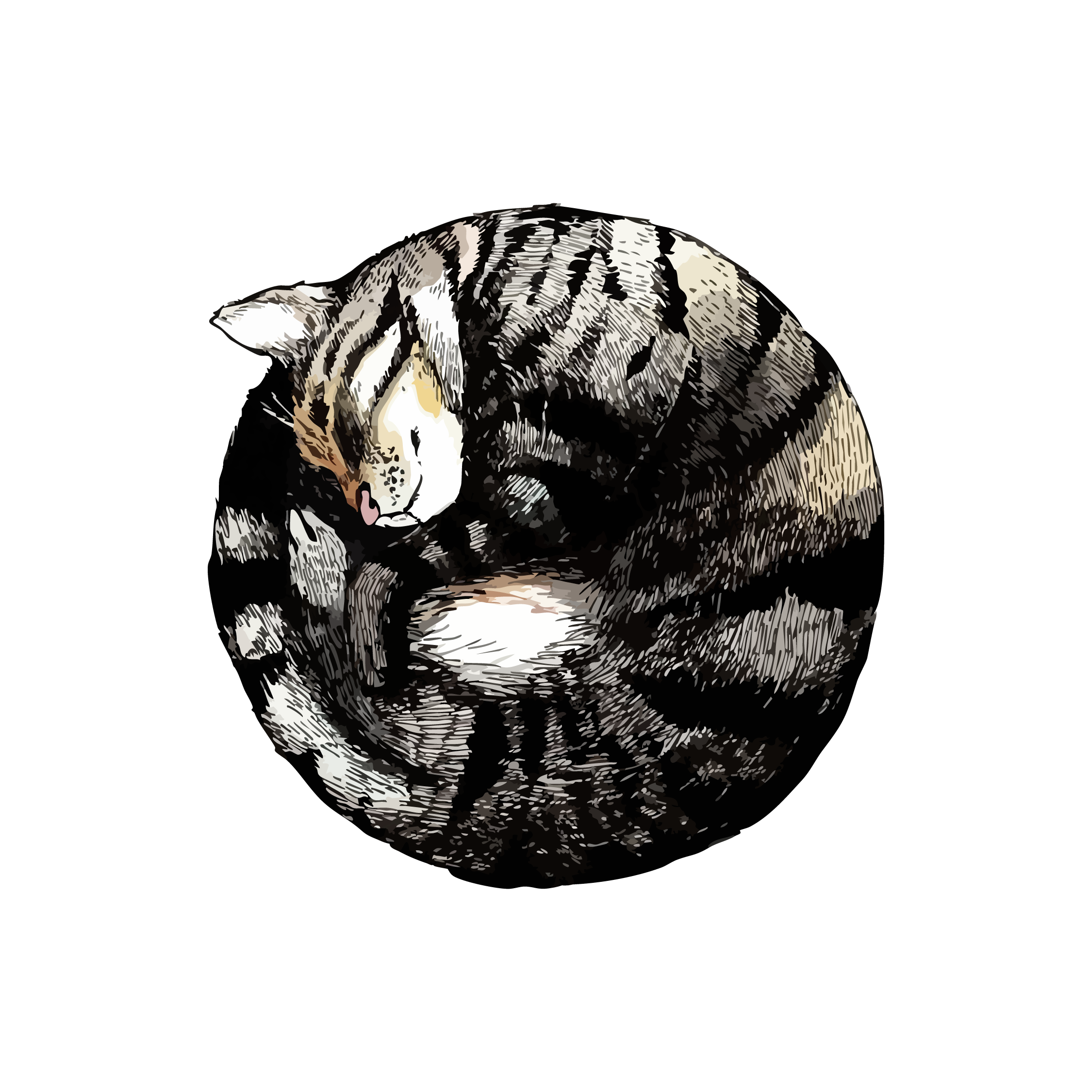 Ball Cat 43x43 | MgM FORMS