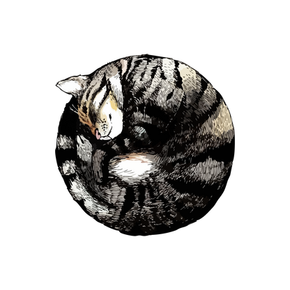 Ball Cat 43x43 | MgM FORMS