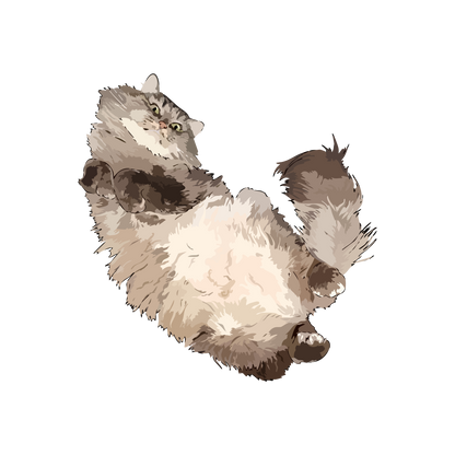 Fat Cat 57x56 | MgM FORMS